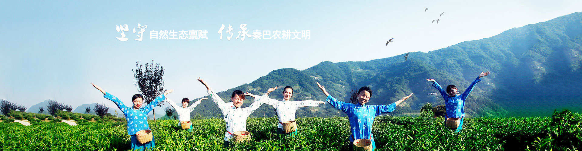 安康陽(yáng)晨集團(tuán)